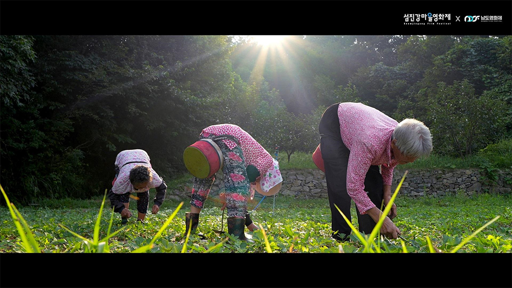 섬진강마을영화제 이미지