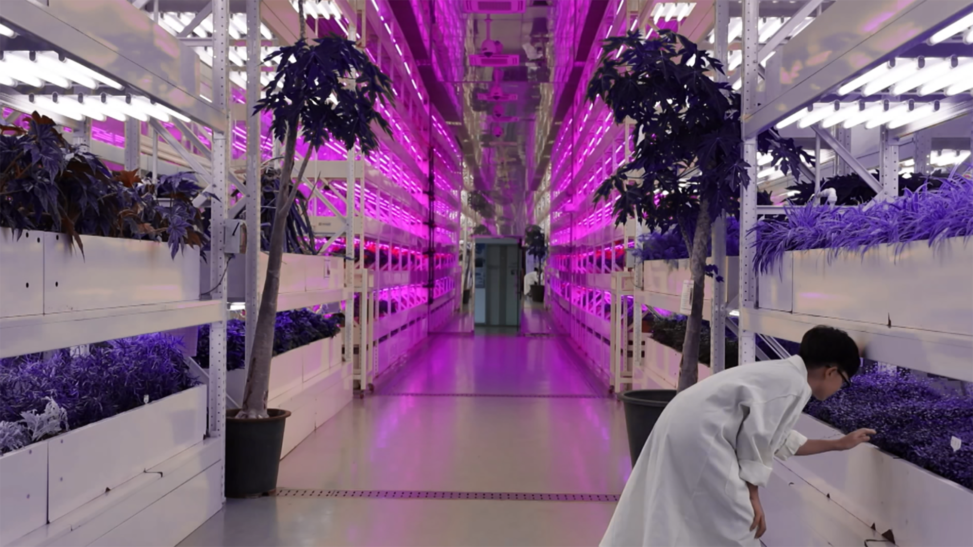 화성에서 만나요