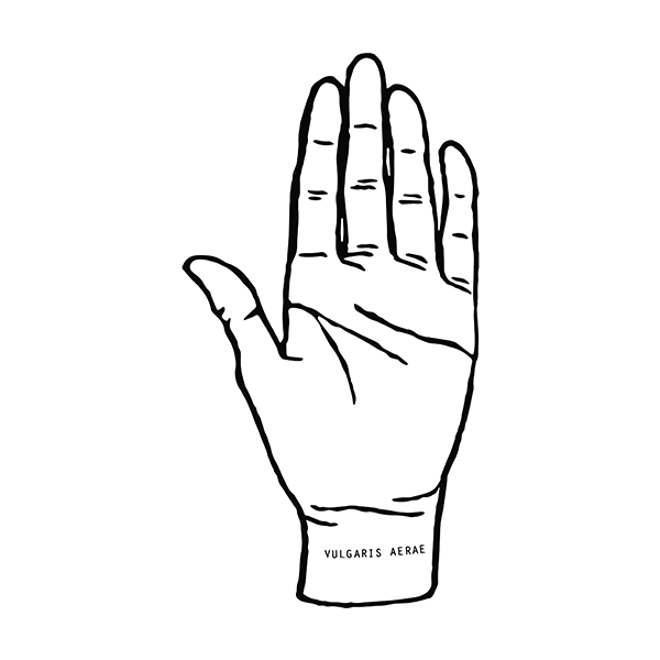 비스츠앤네이티브스감독